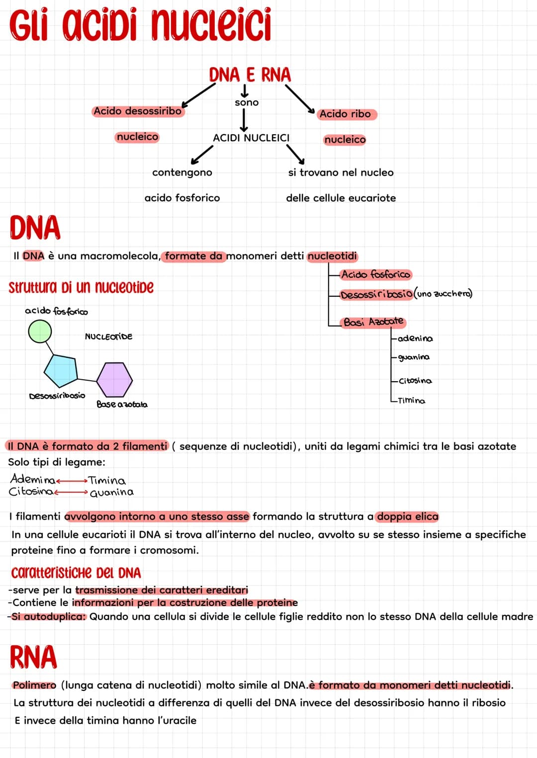 Gli acidi nucleici
DNA E RNA
↓
sono
Acido desossiribo
nucleico
Desossiribosio
Ademina<
Citosina
Struttura di un nucleotide
acido fosforico
N