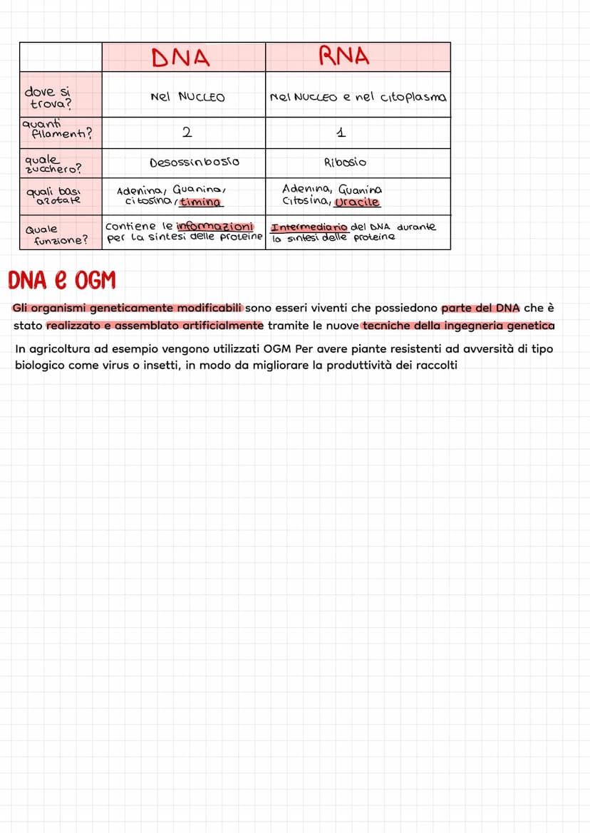 Gli acidi nucleici
DNA E RNA
↓
sono
Acido desossiribo
nucleico
Desossiribosio
Ademina<
Citosina
Struttura di un nucleotide
acido fosforico
N