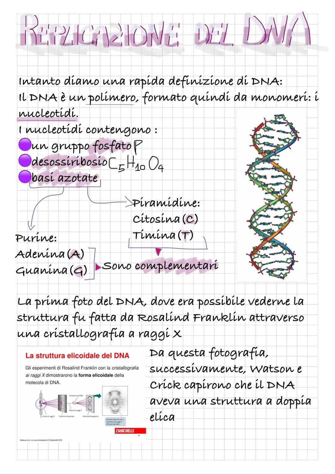 REPLICAZIONE DEL DNA
Intanto diamo una rapida definizione di DNA:
Il DNA è un polímero, formato quindi da monomeri: i
nucleotidí.
I nucleoti