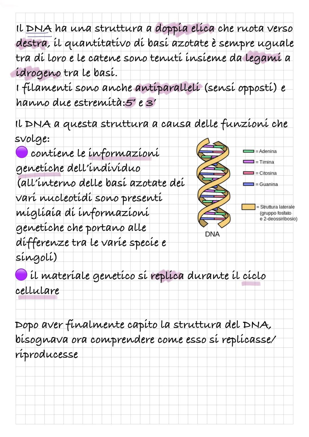REPLICAZIONE DEL DNA
Intanto diamo una rapida definizione di DNA:
Il DNA è un polímero, formato quindi da monomeri: i
nucleotidí.
I nucleoti