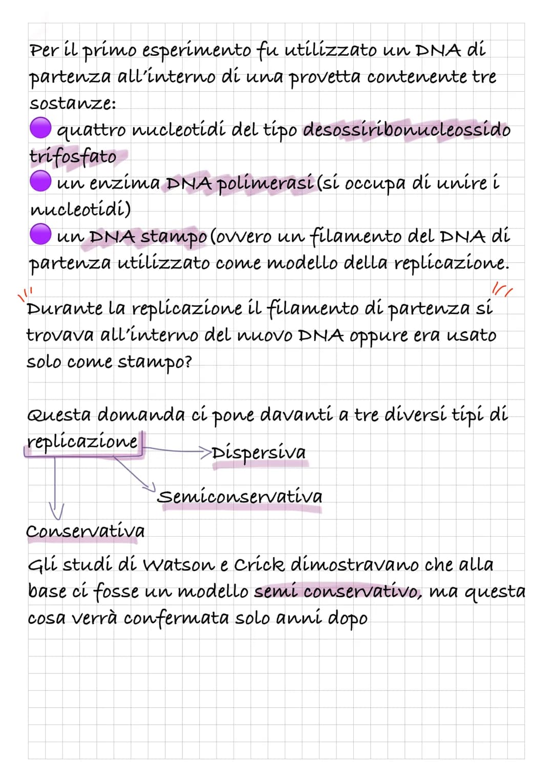 REPLICAZIONE DEL DNA
Intanto diamo una rapida definizione di DNA:
Il DNA è un polímero, formato quindi da monomeri: i
nucleotidí.
I nucleoti