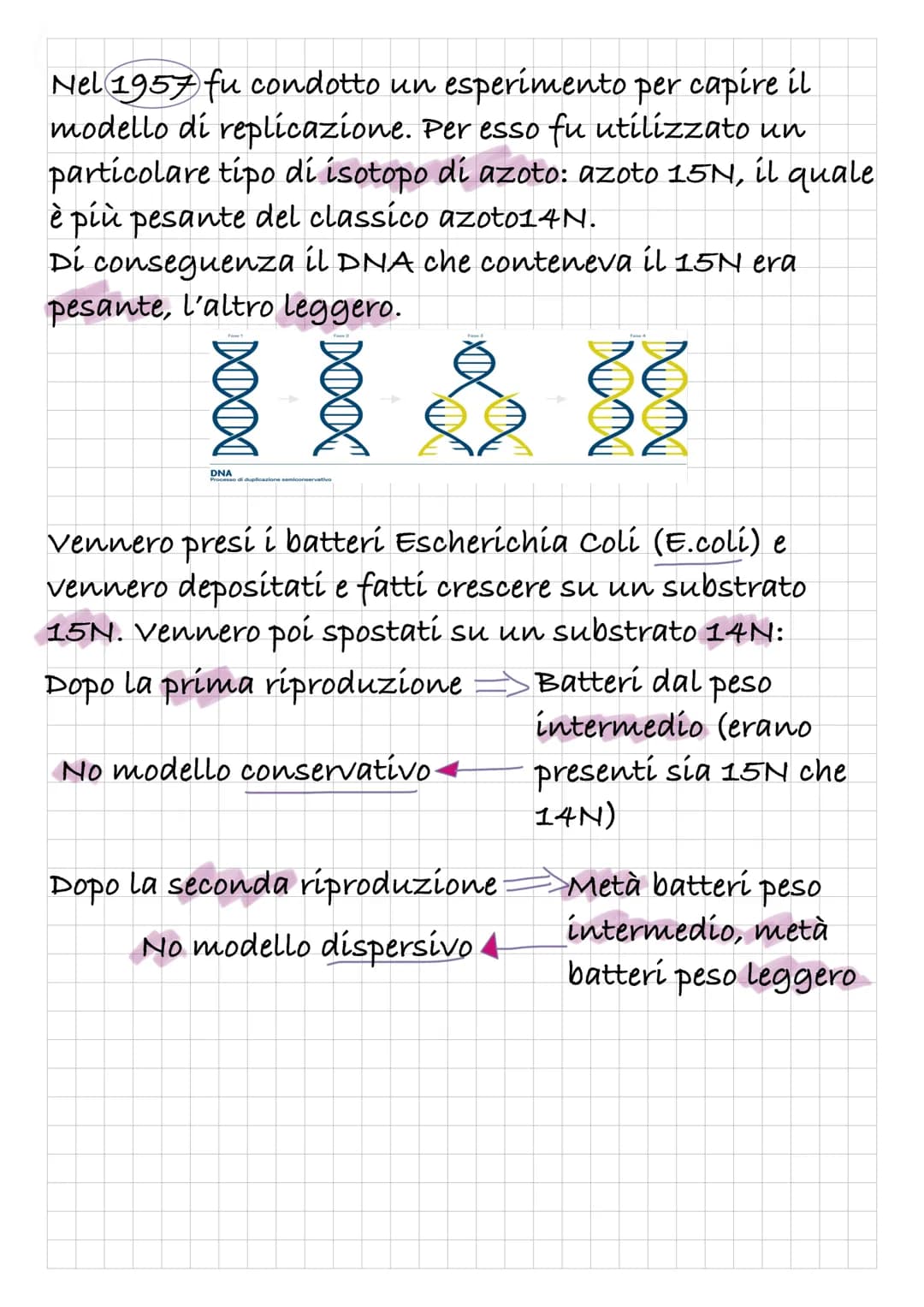 REPLICAZIONE DEL DNA
Intanto diamo una rapida definizione di DNA:
Il DNA è un polímero, formato quindi da monomeri: i
nucleotidí.
I nucleoti