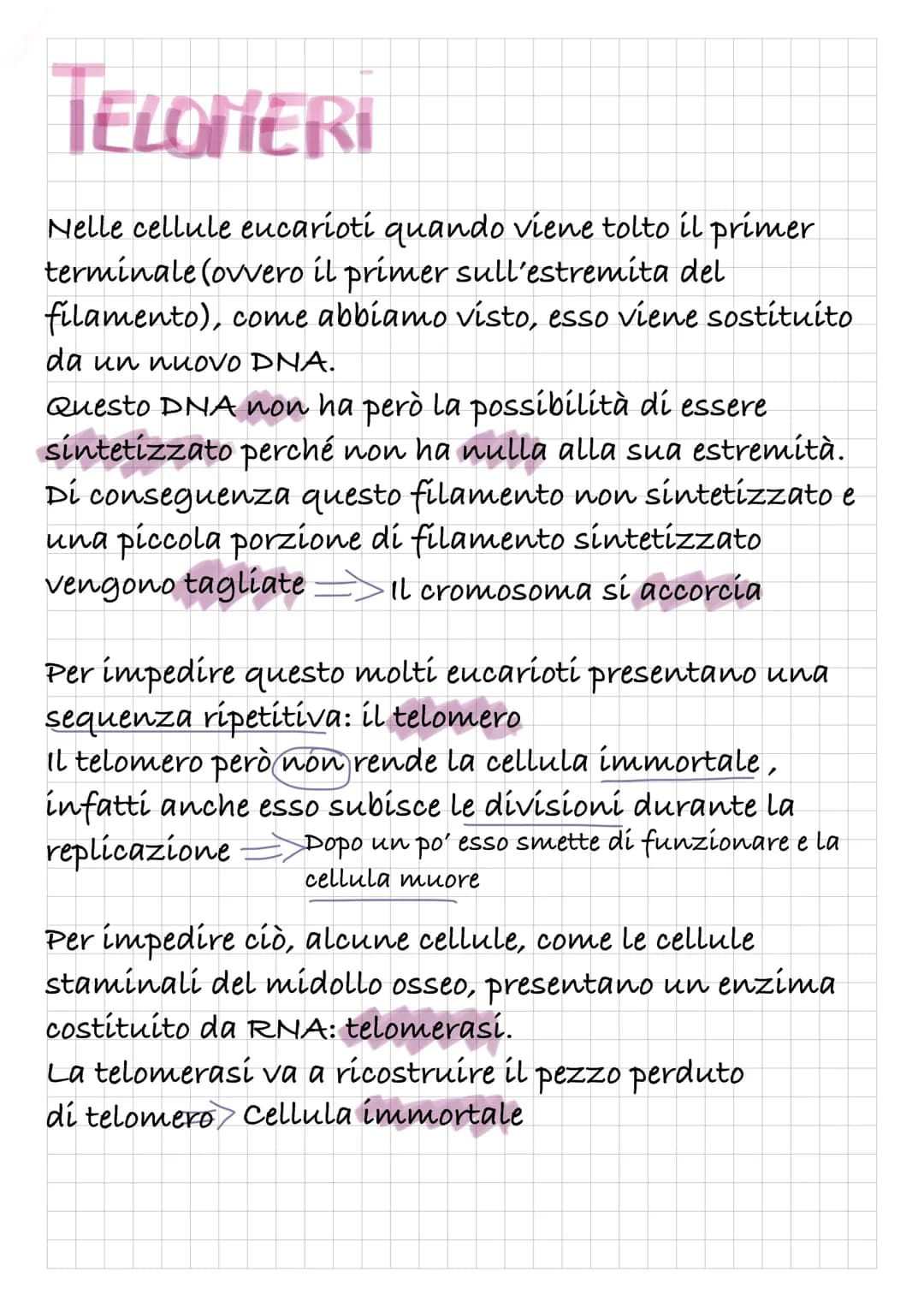 REPLICAZIONE DEL DNA
Intanto diamo una rapida definizione di DNA:
Il DNA è un polímero, formato quindi da monomeri: i
nucleotidí.
I nucleoti