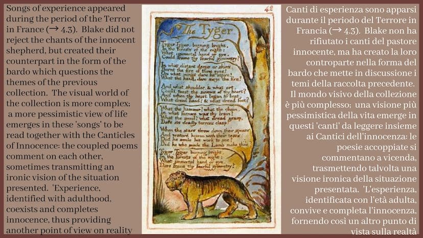 William Blake
Produced by Erika Putrone William Blake was born in
London in 1757. His origins
were humble and their poor
all his life. He wa