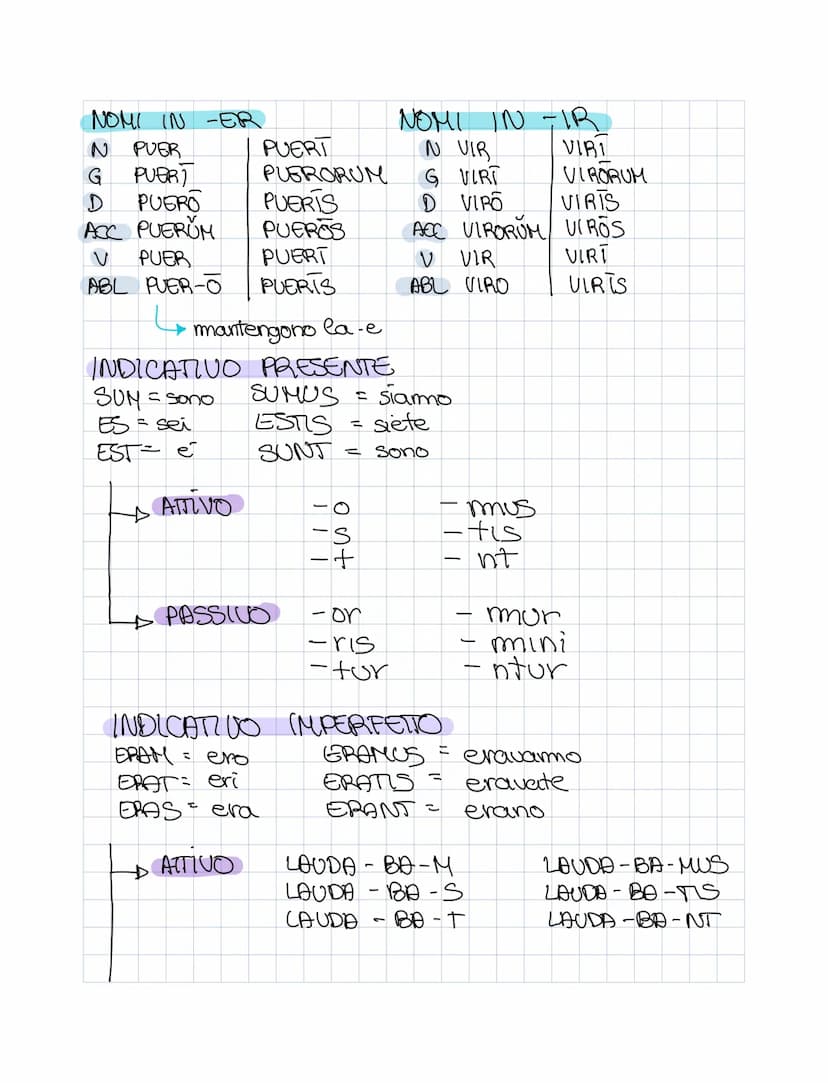 
<h2 id="aggettiviprimaclasselatino">Aggettivi Prima Classe Latino</h2>
<p>Declinazione 1 riguarda gli aggettivi che seguono la prima classe