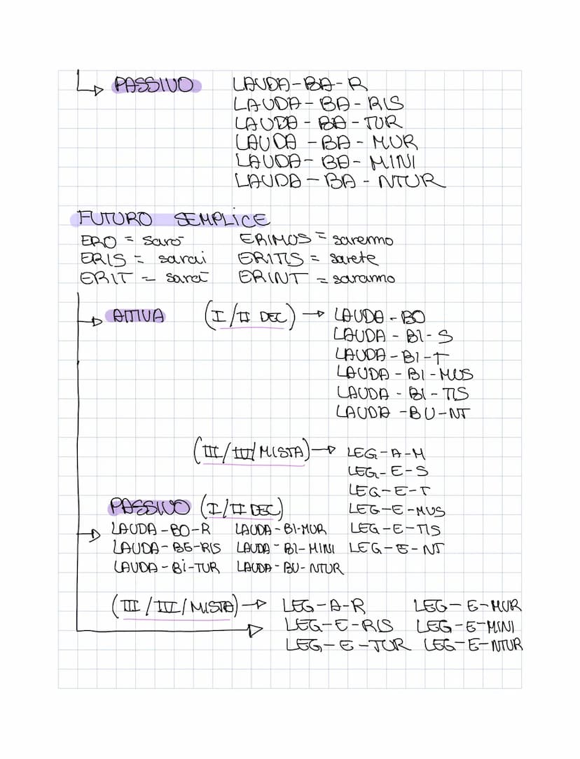 
<h2 id="aggettiviprimaclasselatino">Aggettivi Prima Classe Latino</h2>
<p>Declinazione 1 riguarda gli aggettivi che seguono la prima classe