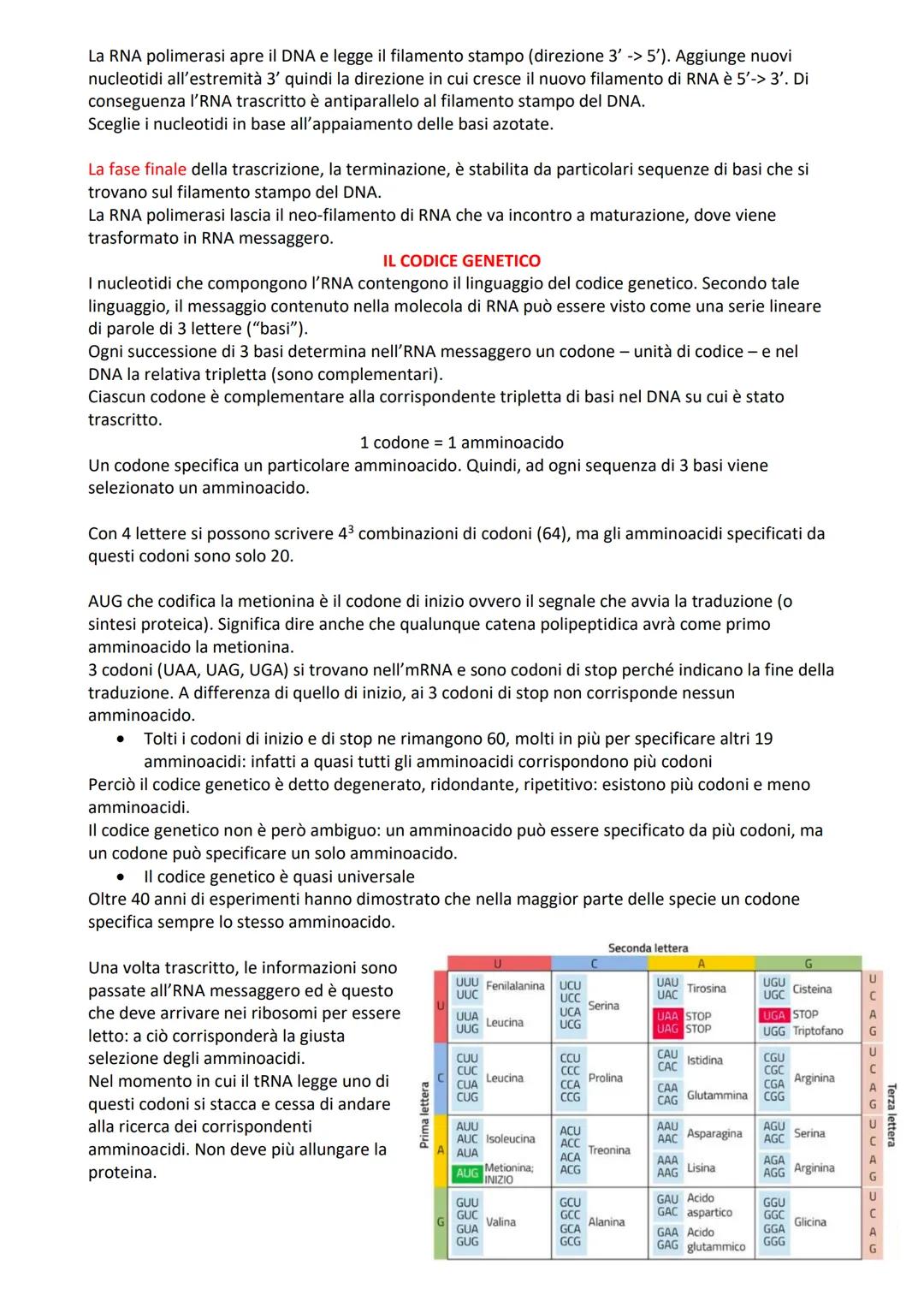 # L'RNA (acido ribonucleico) è un polinucleotide simile al DNA, ma che differisce per 3 aspetti

1) generalmente I'RNA è formato da un unico