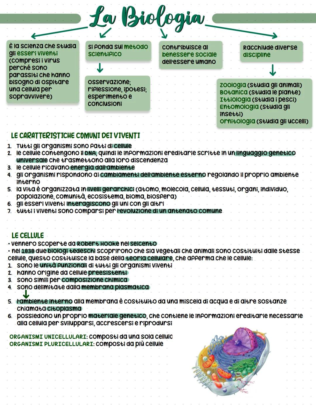 È la scienza che studia
gli esseri viventi
(compresi i virus
perché sono
parassiti che hanno
bisogno di ospitare
una cellula per
sopravviver