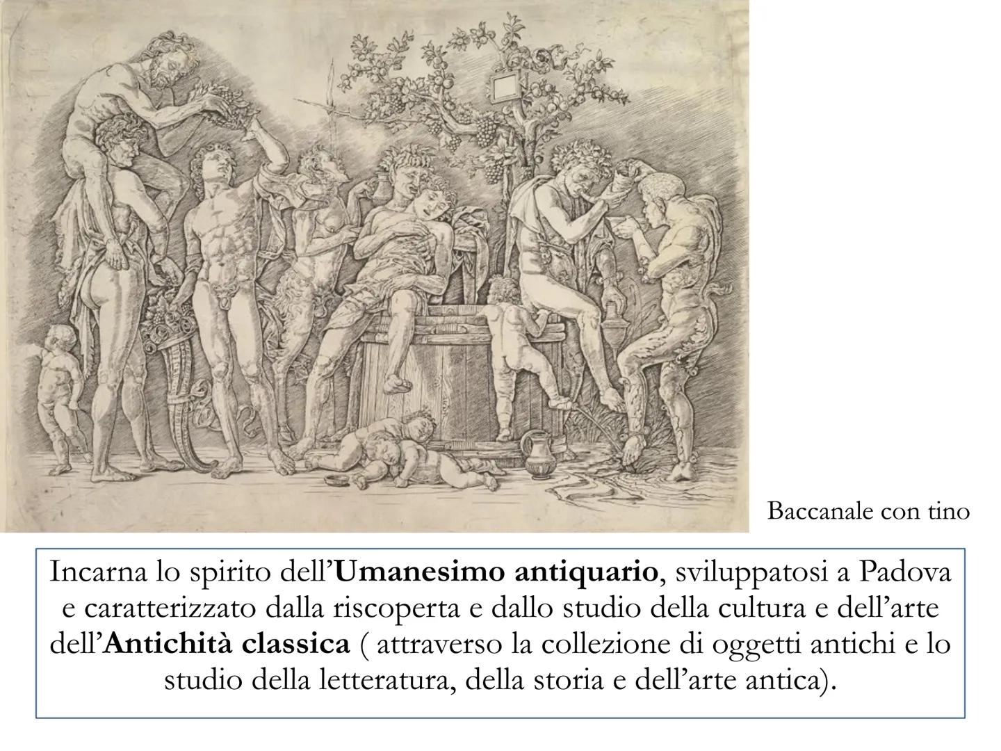 # ANDREA MANTEGNA

(ca 1431-1506)

*   Nasce in provincia di Padova (Isola di
	Carturo)
*   1445 è allievo e garzone di Francesco
	Squarcion