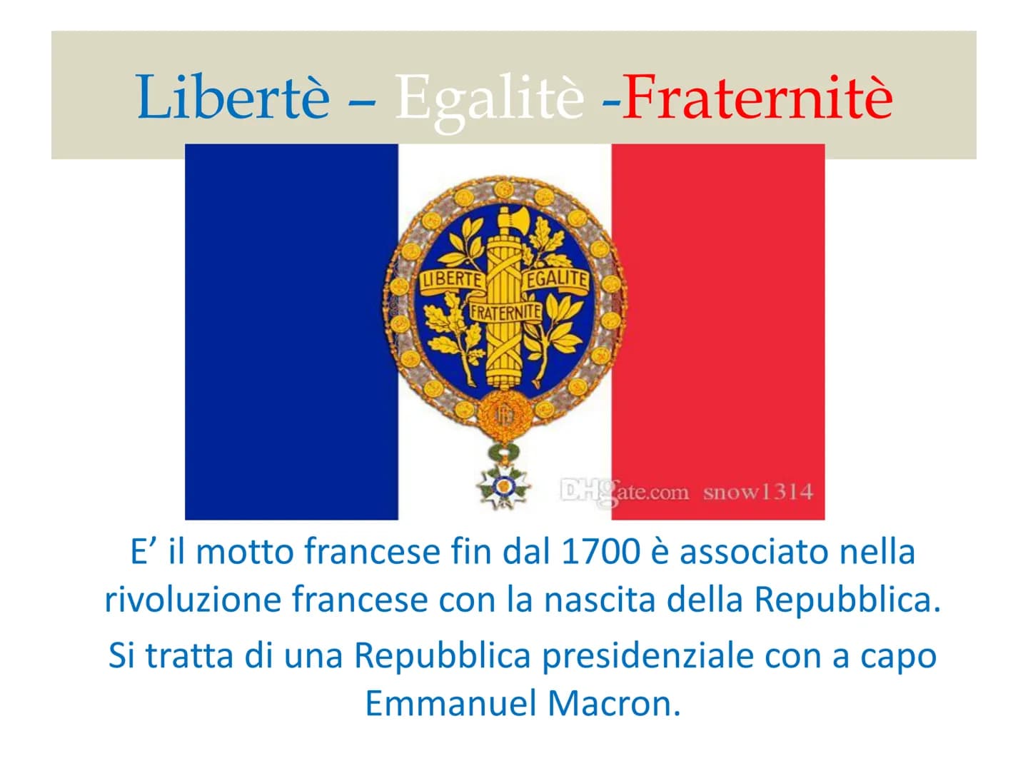 
<p>La Francia è il paese più vasto dell'Unione Europea. Fa parte geograficamente della regione francese che comprende Belgio, Lussemburgo, 