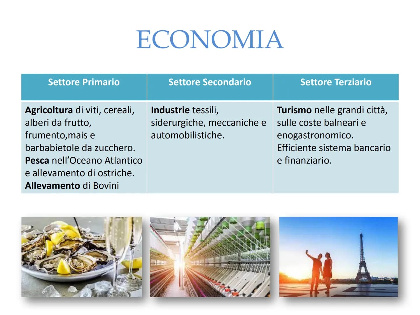 
<p>La Francia è il paese più vasto dell'Unione Europea. Fa parte geograficamente della regione francese che comprende Belgio, Lussemburgo, 