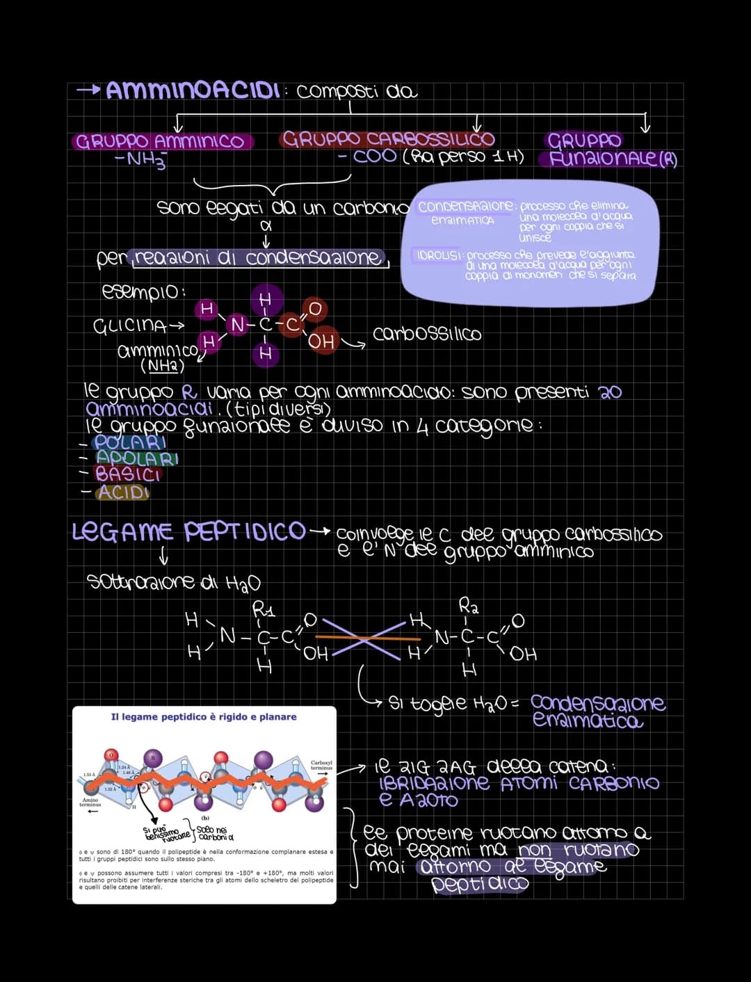 LE BIOMOLECOLE
Sondamentali per
ea vita
Le biomolecole sono sostanze organiche presenti negli organismi viventi
Sono costruite gondamentalme