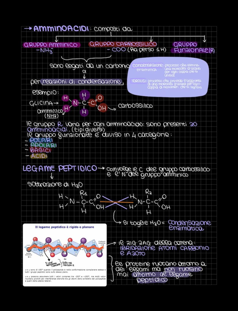 LE BIOMOLECOLE
Sondamentali per
ea vita
Le biomolecole sono sostanze organiche presenti negli organismi viventi
Sono costruite gondamentalme