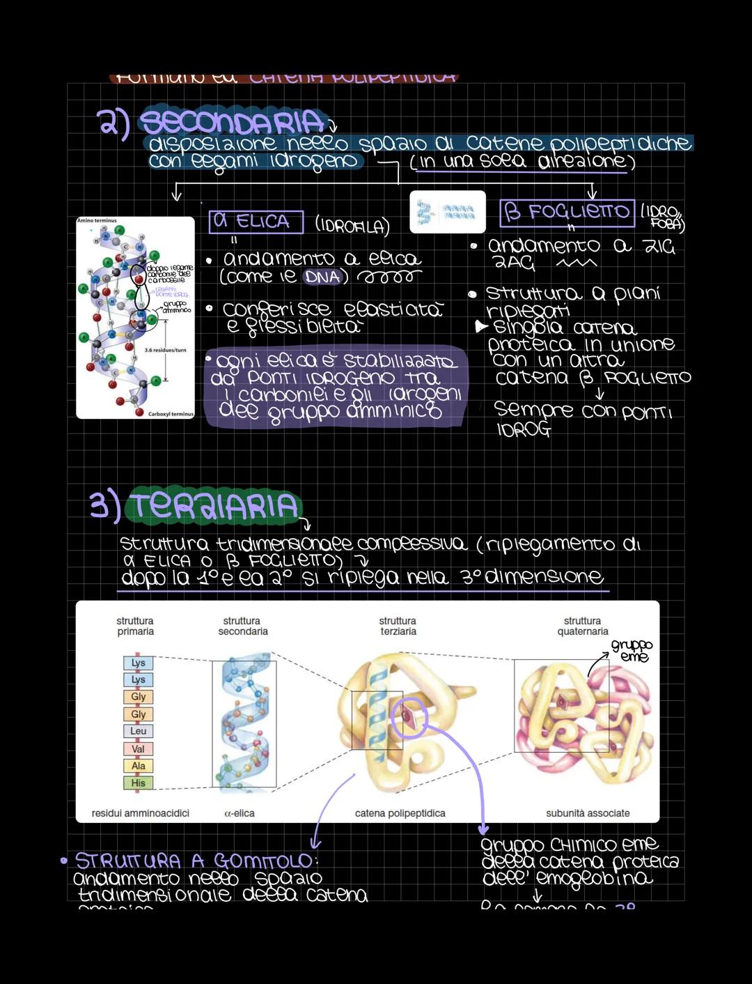 LE BIOMOLECOLE
Sondamentali per
ea vita
Le biomolecole sono sostanze organiche presenti negli organismi viventi
Sono costruite gondamentalme