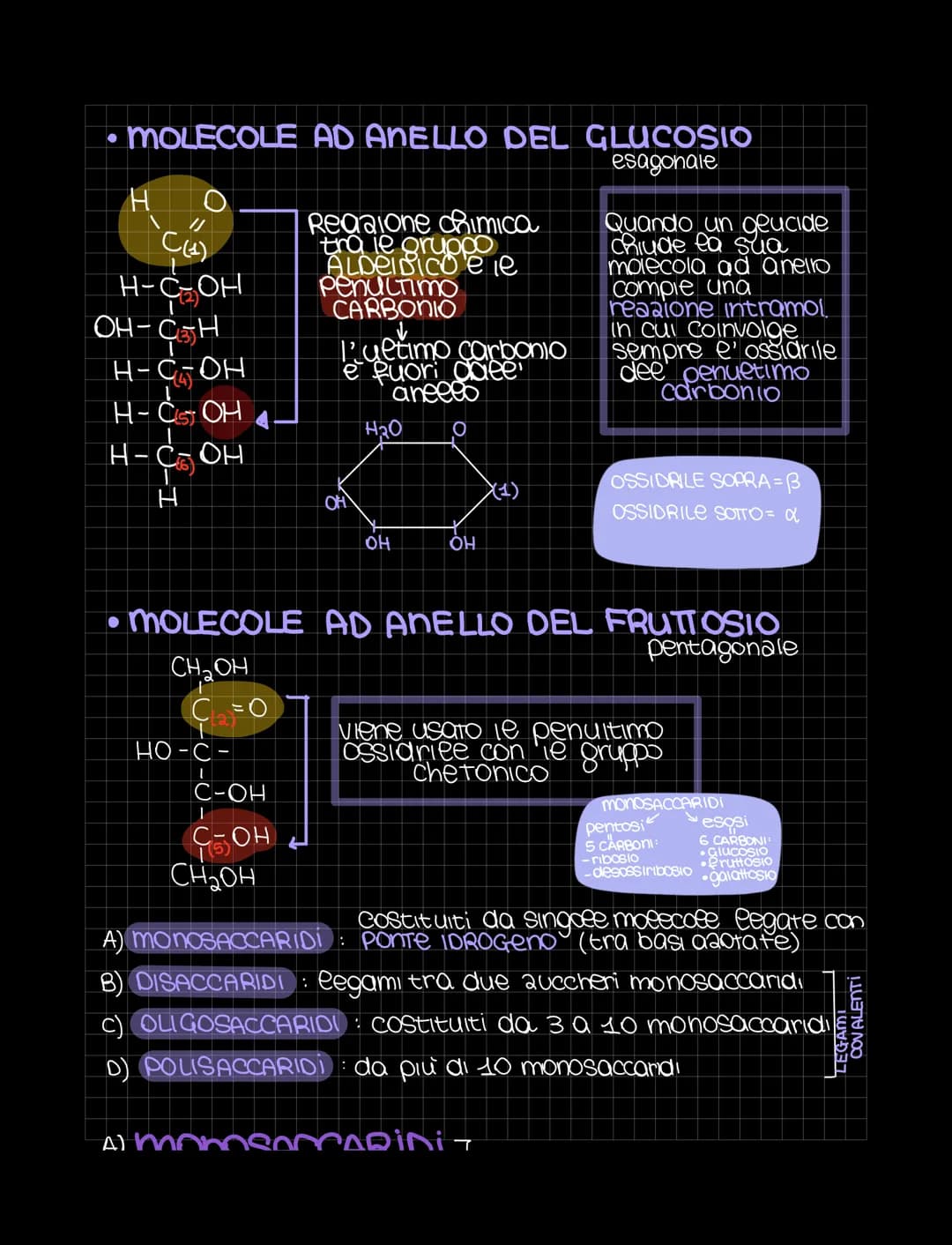 LE BIOMOLECOLE
Sondamentali per
ea vita
Le biomolecole sono sostanze organiche presenti negli organismi viventi
Sono costruite gondamentalme