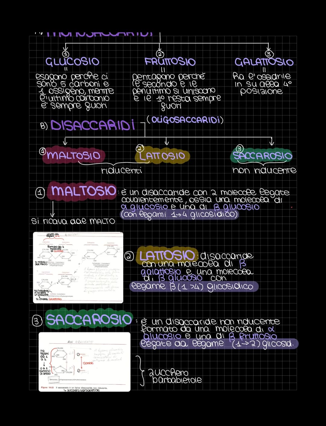 LE BIOMOLECOLE
Sondamentali per
ea vita
Le biomolecole sono sostanze organiche presenti negli organismi viventi
Sono costruite gondamentalme