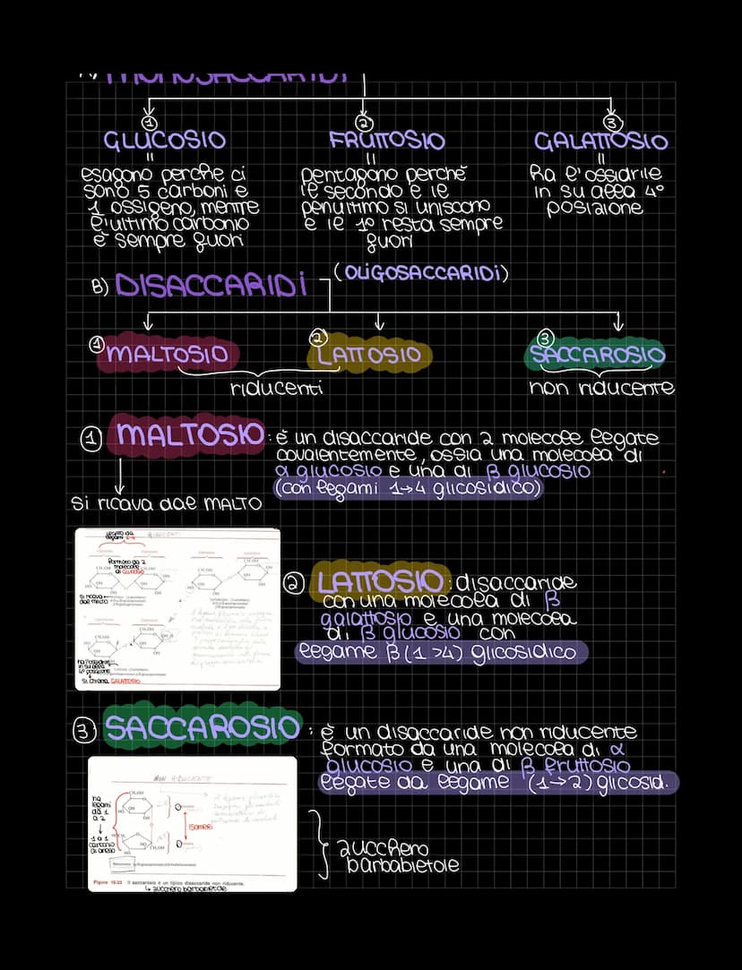 LE BIOMOLECOLE
Sondamentali per
ea vita
Le biomolecole sono sostanze organiche presenti negli organismi viventi
Sono costruite gondamentalme