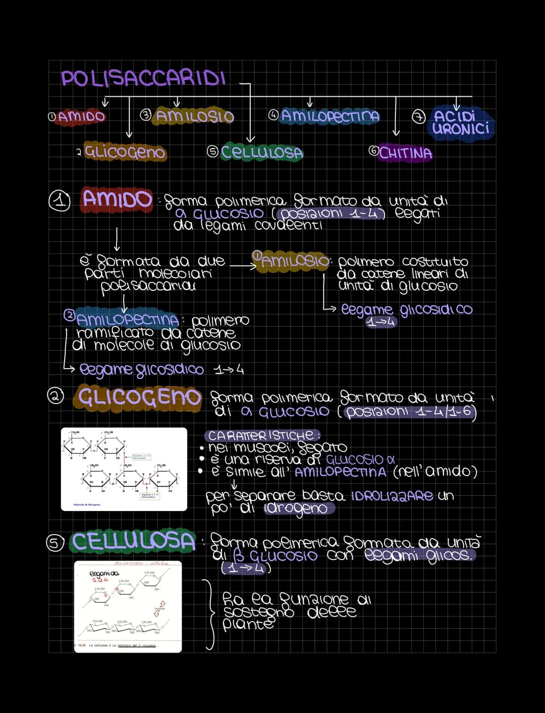 LE BIOMOLECOLE
Sondamentali per
ea vita
Le biomolecole sono sostanze organiche presenti negli organismi viventi
Sono costruite gondamentalme