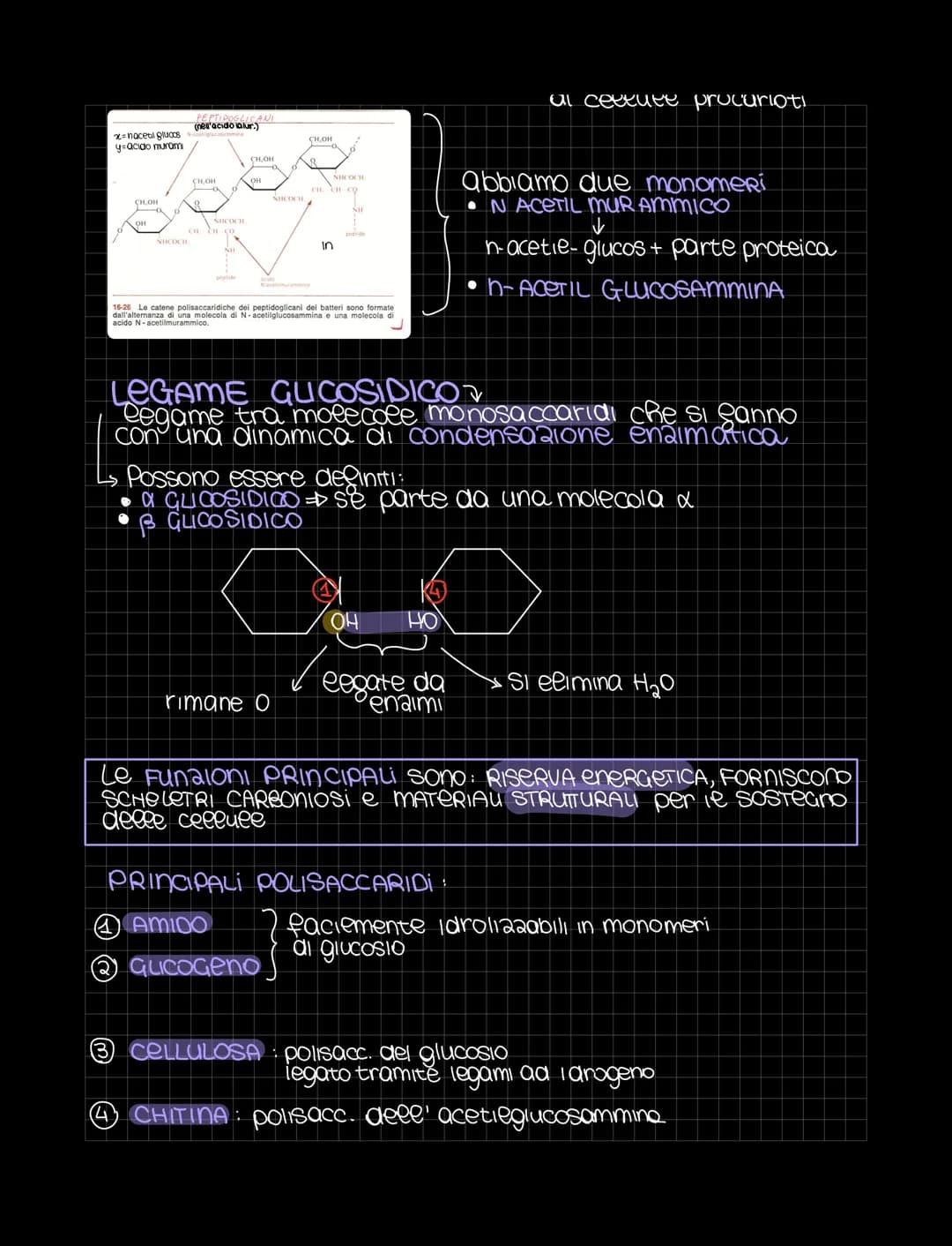 LE BIOMOLECOLE
Sondamentali per
ea vita
Le biomolecole sono sostanze organiche presenti negli organismi viventi
Sono costruite gondamentalme