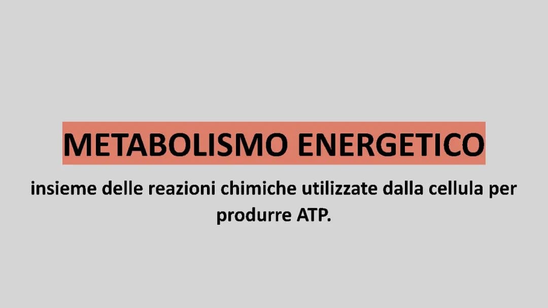 Metabolismo energetico