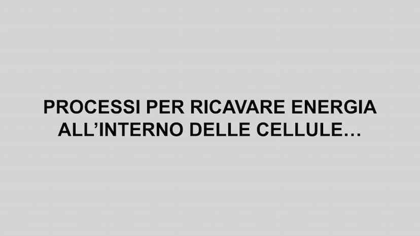 METABOLISMO ENERGETICO
insieme delle reazioni chimiche utilizzate dalla cellula per
produrre ATP. ATP
L'ATP è una molecola utile a fornire e