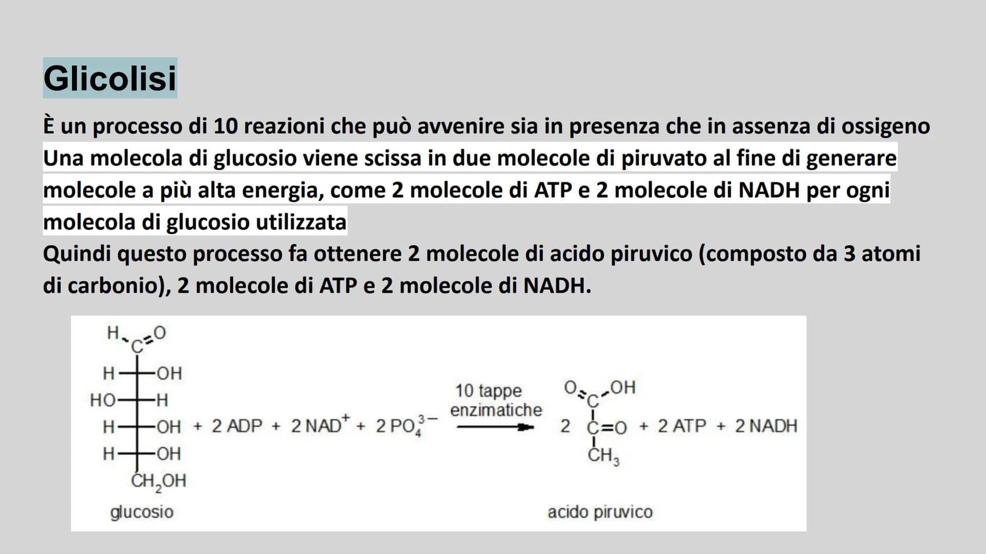 METABOLISMO ENERGETICO
insieme delle reazioni chimiche utilizzate dalla cellula per
produrre ATP. ATP
L'ATP è una molecola utile a fornire e