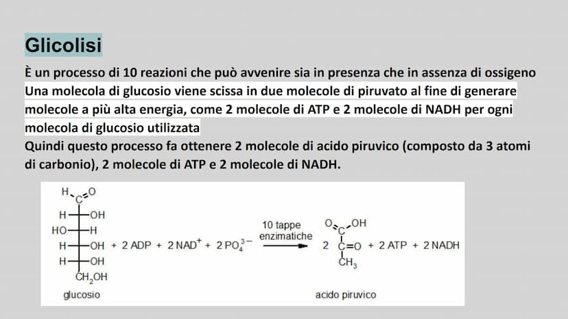 METABOLISMO ENERGETICO
insieme delle reazioni chimiche utilizzate dalla cellula per
produrre ATP. ATP
L'ATP è una molecola utile a fornire e