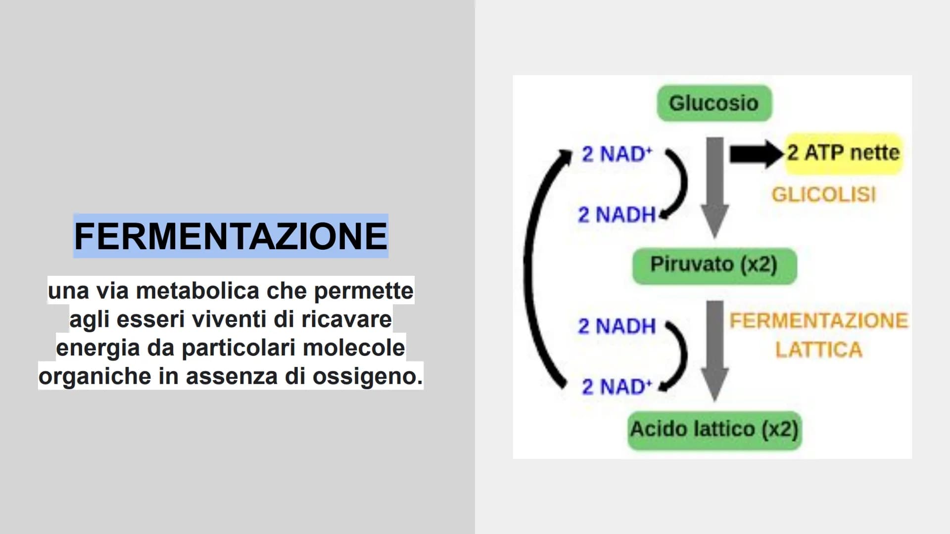 METABOLISMO ENERGETICO
insieme delle reazioni chimiche utilizzate dalla cellula per
produrre ATP. ATP
L'ATP è una molecola utile a fornire e