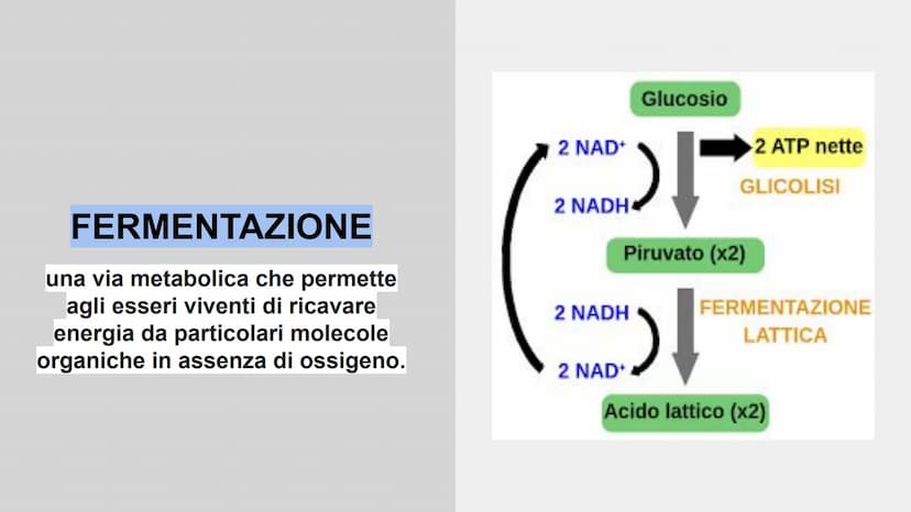 METABOLISMO ENERGETICO
insieme delle reazioni chimiche utilizzate dalla cellula per
produrre ATP. ATP
L'ATP è una molecola utile a fornire e
