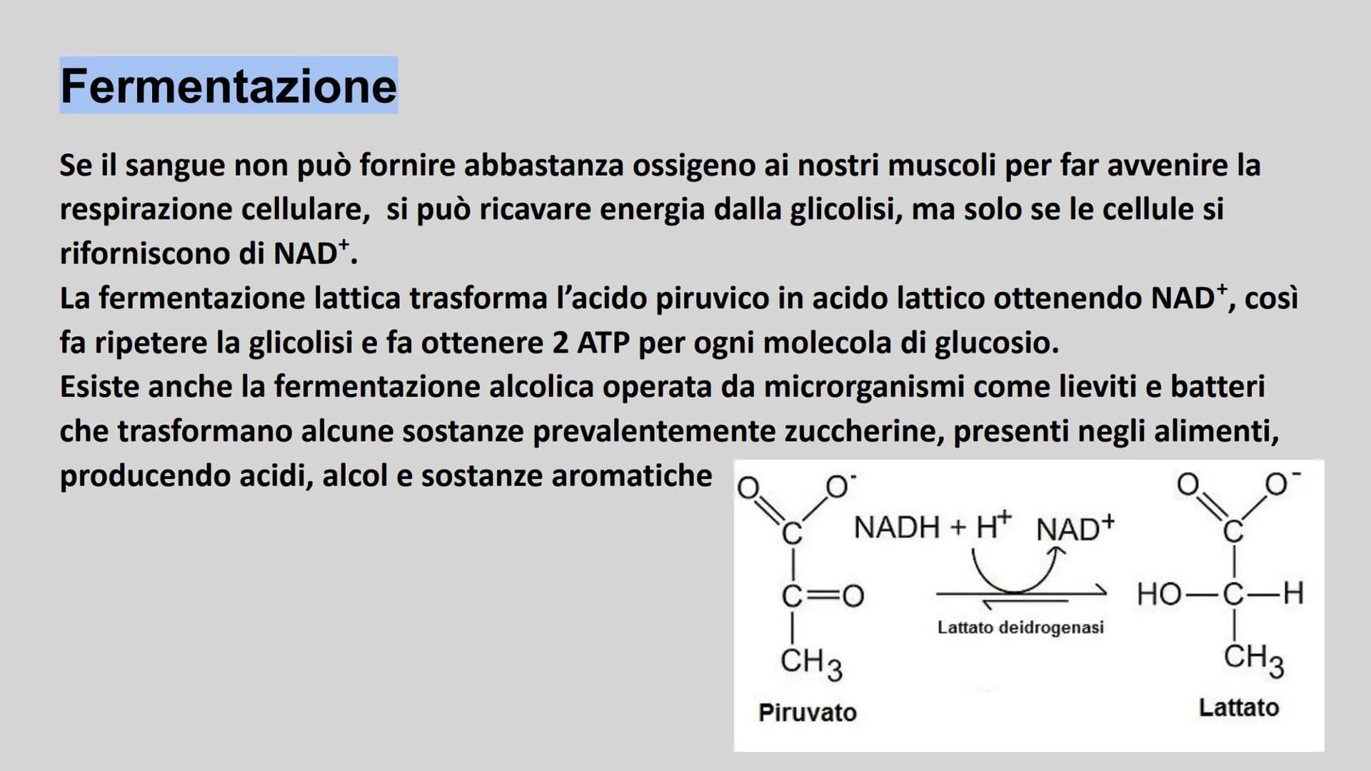 METABOLISMO ENERGETICO
insieme delle reazioni chimiche utilizzate dalla cellula per
produrre ATP. ATP
L'ATP è una molecola utile a fornire e