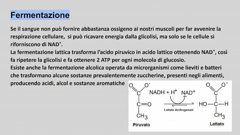 METABOLISMO ENERGETICO
insieme delle reazioni chimiche utilizzate dalla cellula per
produrre ATP. ATP
L'ATP è una molecola utile a fornire e