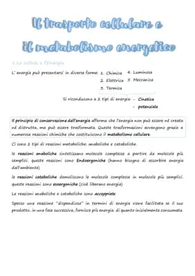 Know il trasporto cellulare e il metabolismo energetico thumbnail