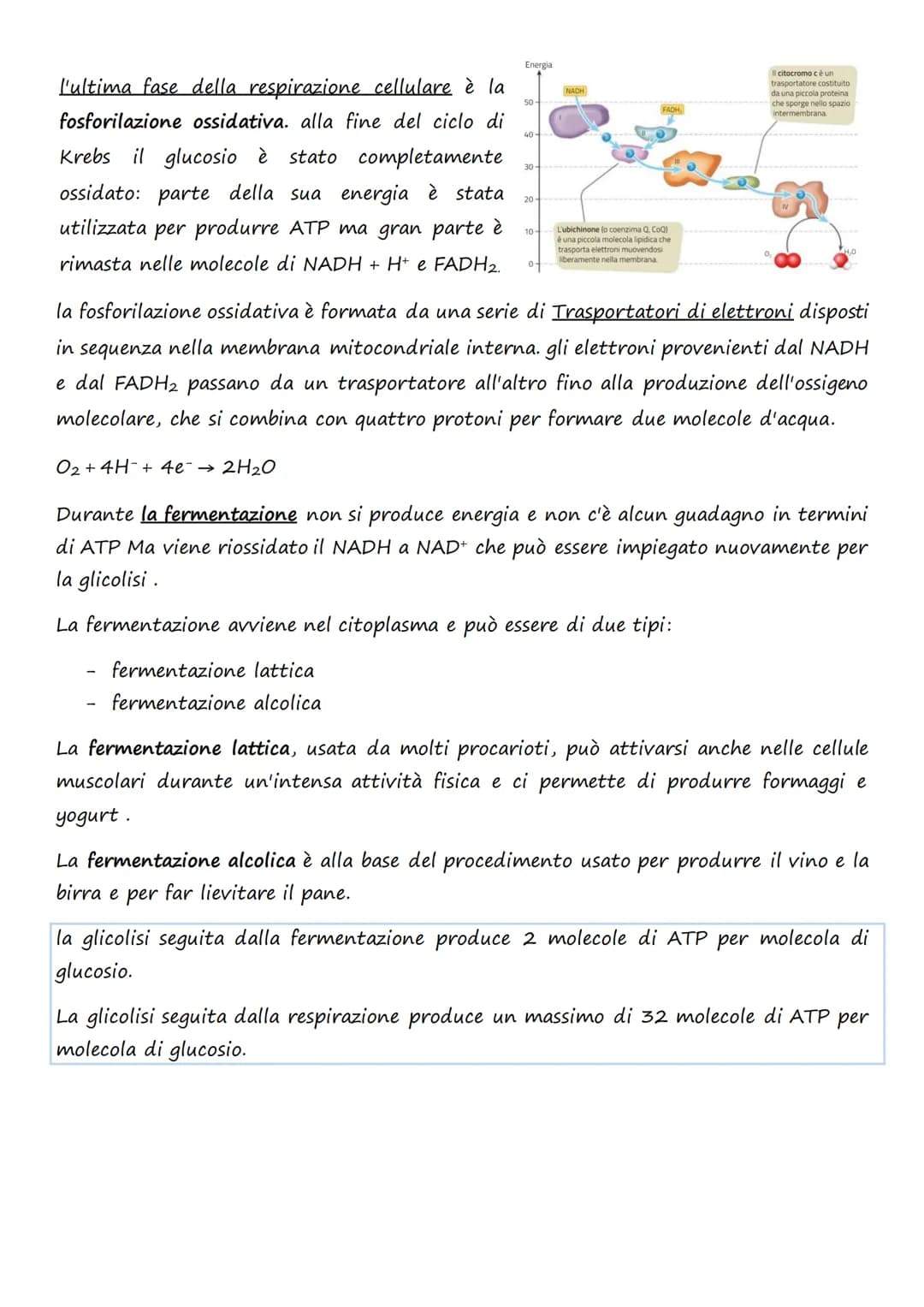 Il trasporto cellulare e
il metabolismo energetico
1.Le cellule e l'Energia
L'energia può presentarsi in diverse forme: 1. Chimica 4. Lumino