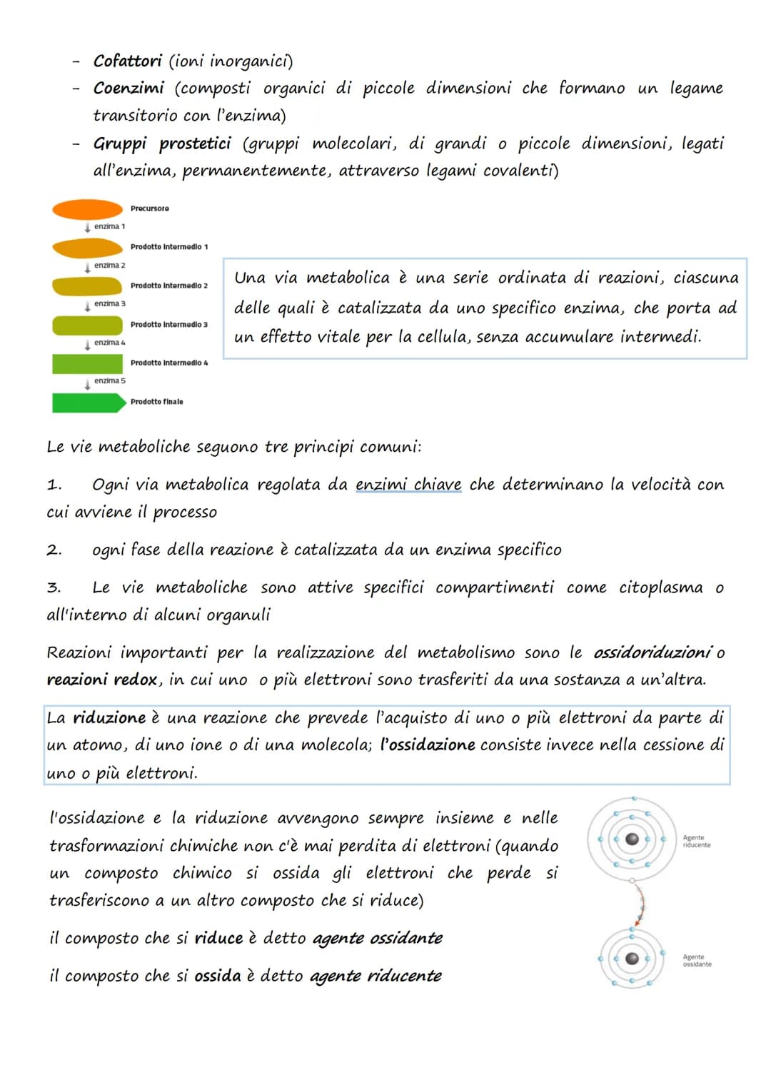 Il trasporto cellulare e
il metabolismo energetico
1.Le cellule e l'Energia
L'energia può presentarsi in diverse forme: 1. Chimica 4. Lumino