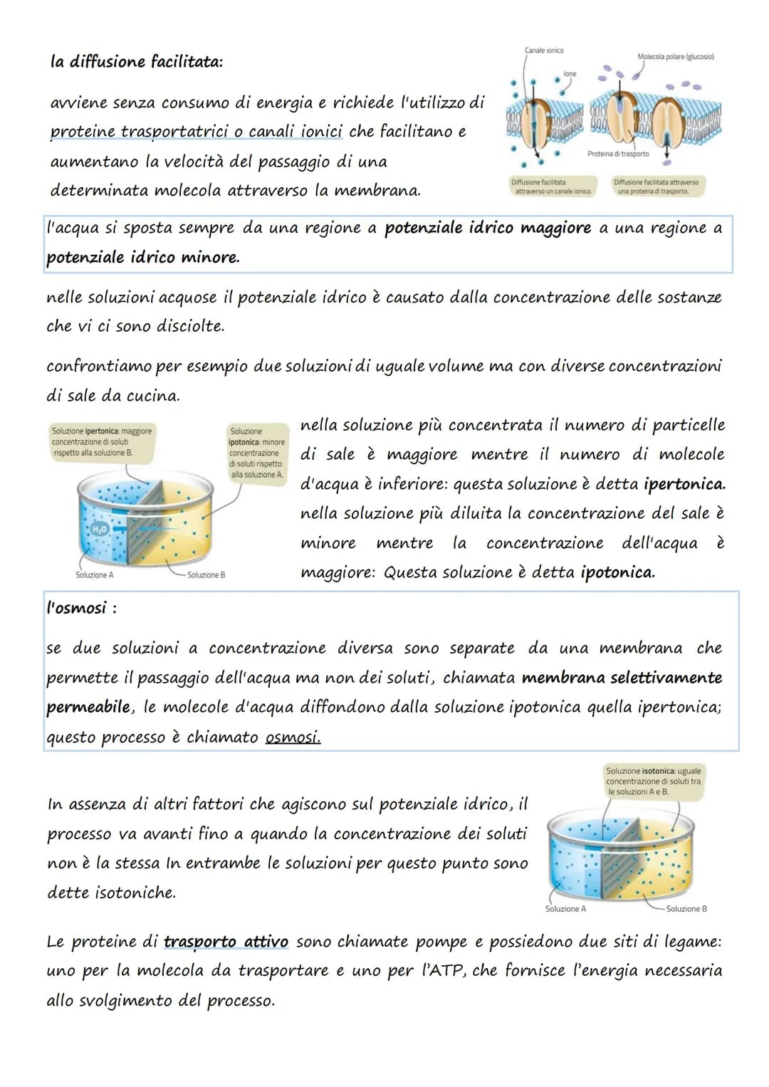 Il trasporto cellulare e
il metabolismo energetico
1.Le cellule e l'Energia
L'energia può presentarsi in diverse forme: 1. Chimica 4. Lumino