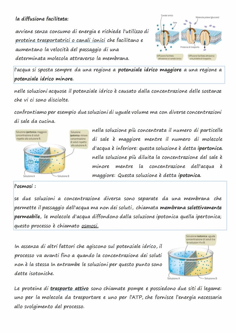 Il trasporto cellulare e
il metabolismo energetico
1.Le cellule e l'Energia
L'energia può presentarsi in diverse forme: 1. Chimica 4. Lumino