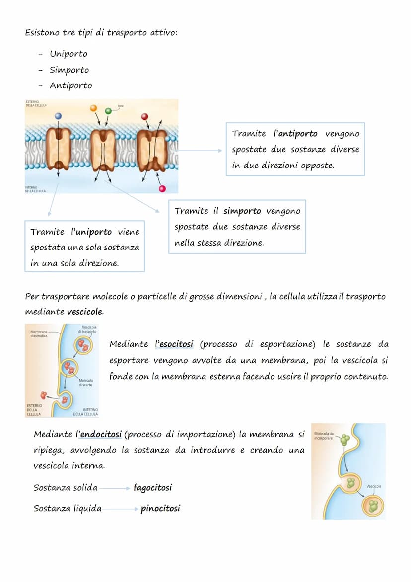 Il trasporto cellulare e
il metabolismo energetico
1.Le cellule e l'Energia
L'energia può presentarsi in diverse forme: 1. Chimica 4. Lumino