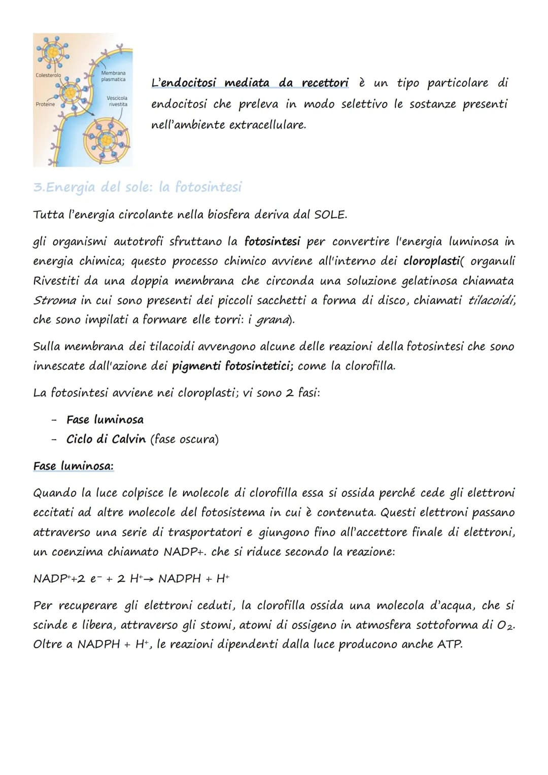 Il trasporto cellulare e
il metabolismo energetico
1.Le cellule e l'Energia
L'energia può presentarsi in diverse forme: 1. Chimica 4. Lumino