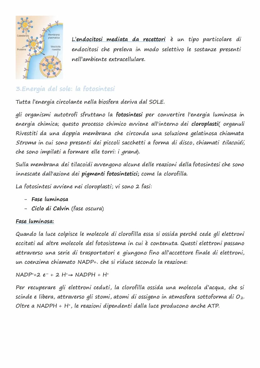 Il trasporto cellulare e
il metabolismo energetico
1.Le cellule e l'Energia
L'energia può presentarsi in diverse forme: 1. Chimica 4. Lumino
