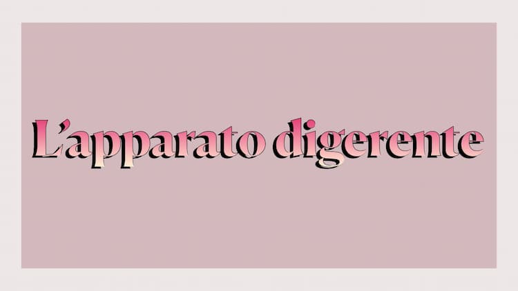 Know L’apparato digerente  thumbnail