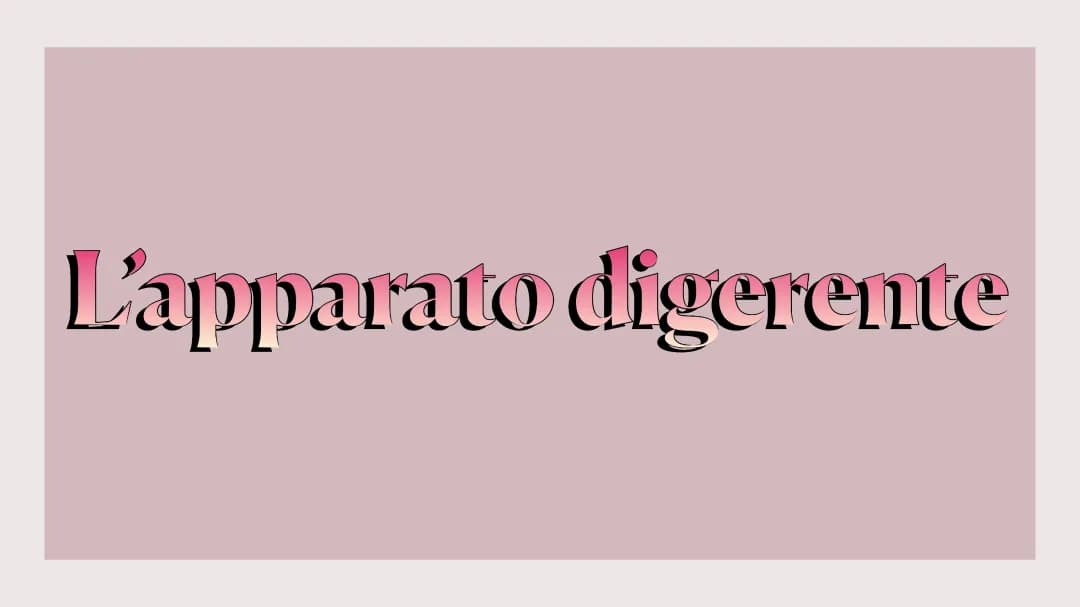 L’apparato digerente 