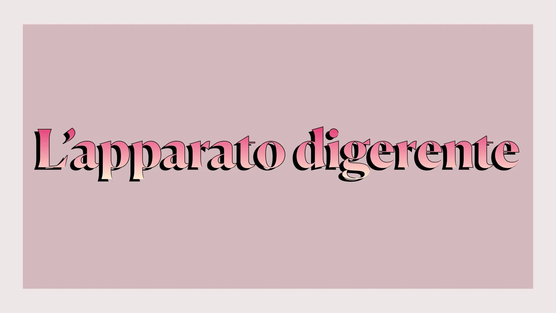L'apparato digerente ?
?
Che cos'è?
L'apparato digerente è l'apparato che
permette al nostro corpo di assorbire le
sostanze nutritive, degra