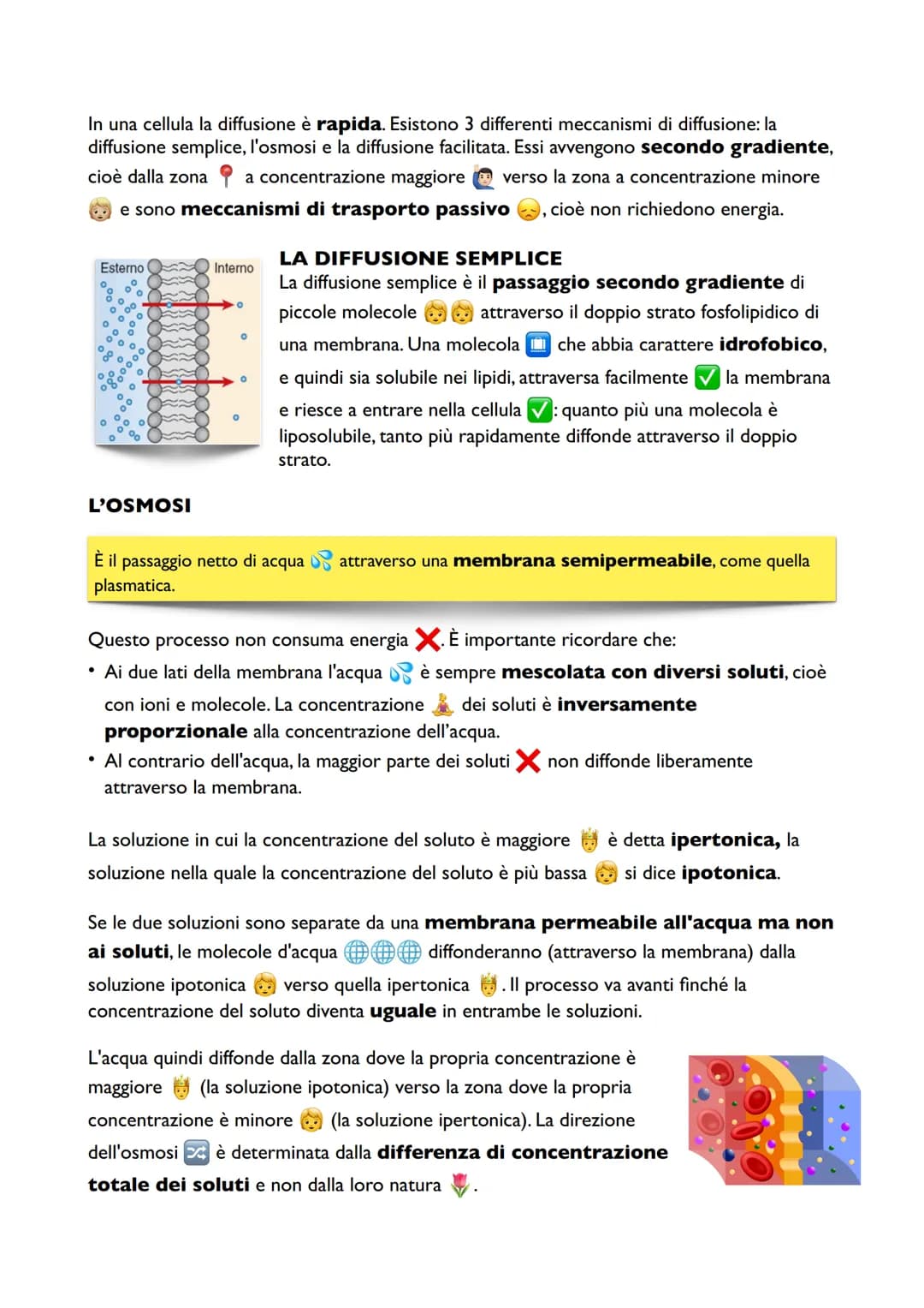 La Fotosintesi
Anche le piante hanno bisogno di carboidrati per sintetizzare ATP attraverso la
glicolisi e la respirazione cellulare, ma a d