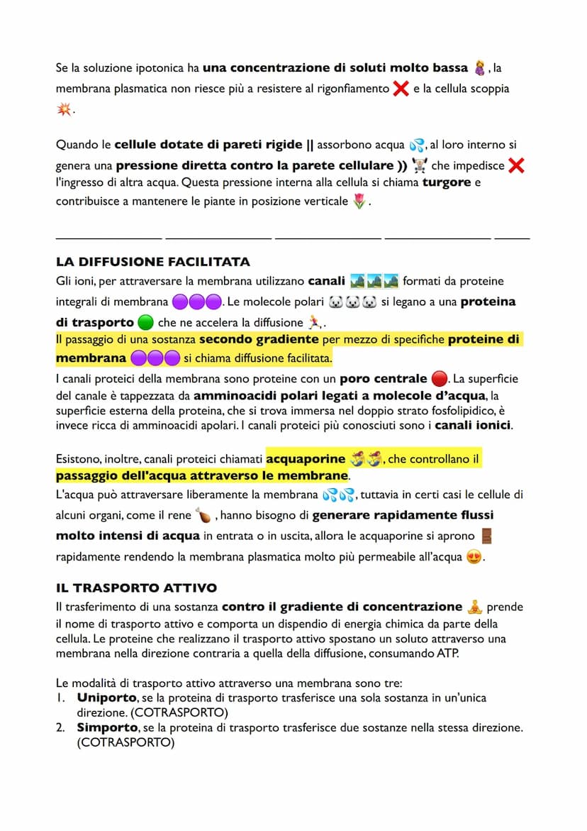 La Fotosintesi
Anche le piante hanno bisogno di carboidrati per sintetizzare ATP attraverso la
glicolisi e la respirazione cellulare, ma a d