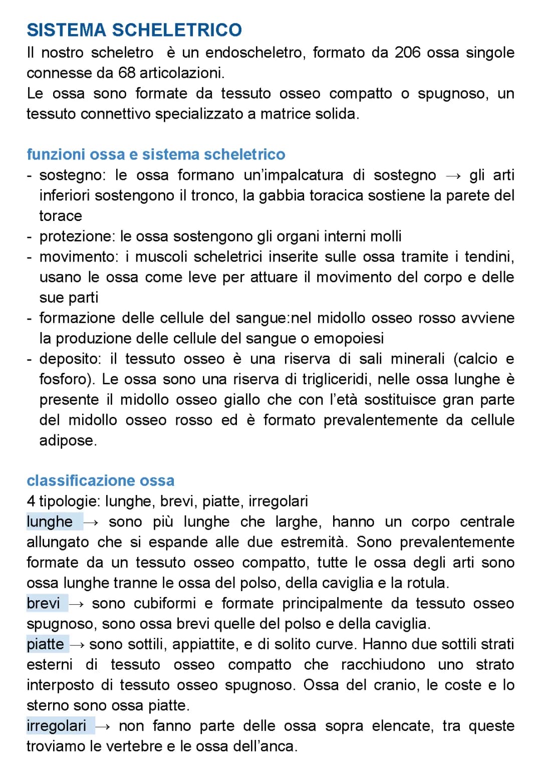 sistema scheletrico