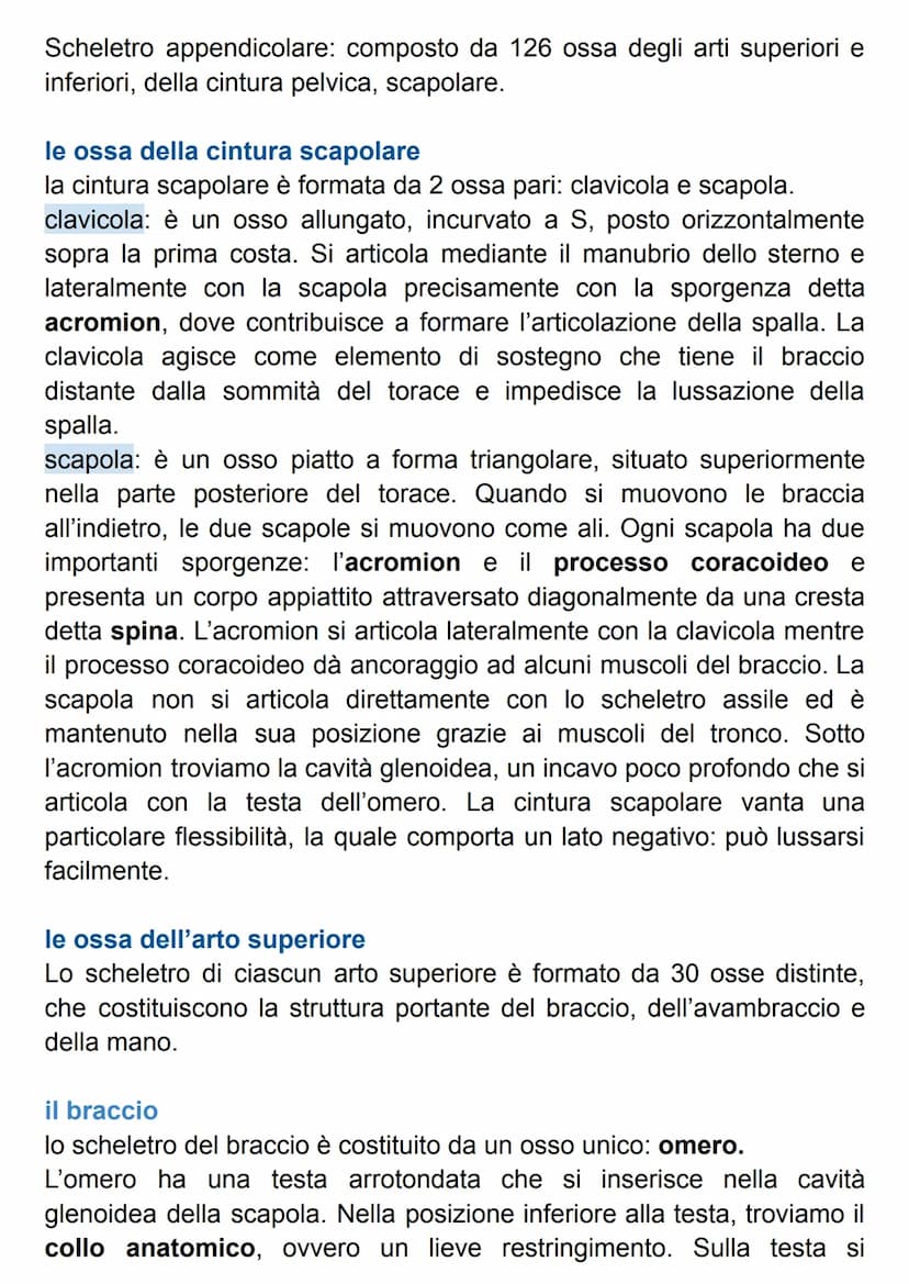 SISTEMA SCHELETRICO
Il nostro scheletro è un endoscheletro, formato da 206 ossa singole
connesse da 68 articolazioni.
Le ossa sono formate d