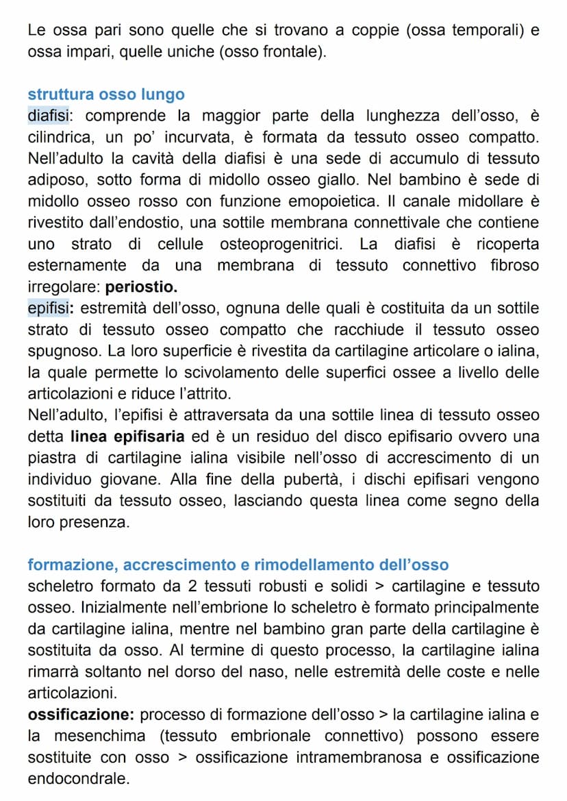 SISTEMA SCHELETRICO
Il nostro scheletro è un endoscheletro, formato da 206 ossa singole
connesse da 68 articolazioni.
Le ossa sono formate d