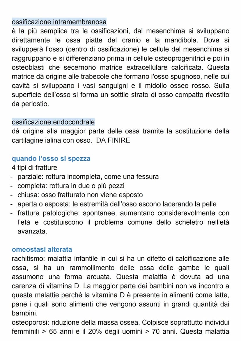 SISTEMA SCHELETRICO
Il nostro scheletro è un endoscheletro, formato da 206 ossa singole
connesse da 68 articolazioni.
Le ossa sono formate d