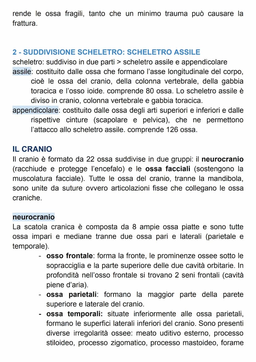 SISTEMA SCHELETRICO
Il nostro scheletro è un endoscheletro, formato da 206 ossa singole
connesse da 68 articolazioni.
Le ossa sono formate d