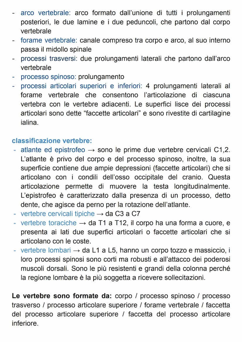 SISTEMA SCHELETRICO
Il nostro scheletro è un endoscheletro, formato da 206 ossa singole
connesse da 68 articolazioni.
Le ossa sono formate d